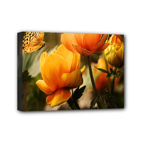 Yellow Butterfly Flower Mini Canvas 7  X 5  (stretched) by Azkajaya