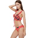 Abstract-bug-cubism-flat-insect Low Cut Ruffle Edge Bikini Set View2