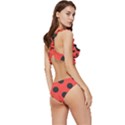 Abstract-bug-cubism-flat-insect Low Cut Ruffle Edge Bikini Set View3