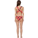 Abstract-bug-cubism-flat-insect Low Cut Ruffle Edge Bikini Set View4