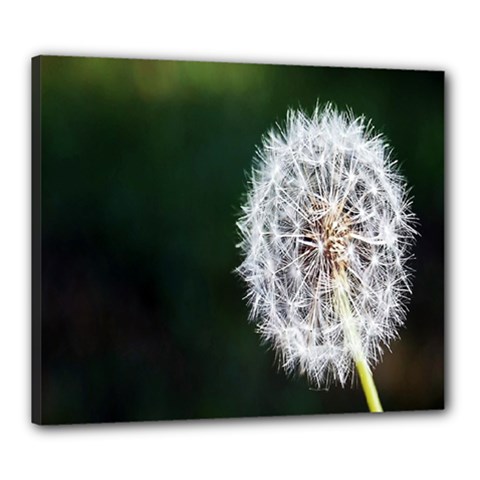 White Flower Canvas 24  X 20  (stretched) by Azkajaya