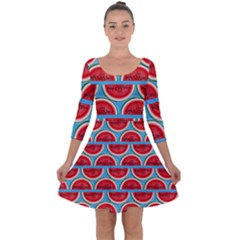 Illustrations Watermelon Texture Pattern Quarter Sleeve Skater Dress by anzea