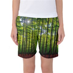 Green Forest Jungle Trees Nature Sunny Women s Basketball Shorts by Ravend