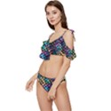 Rainbow Scales Ruffle Edge Tie Up Bikini Set	 View2