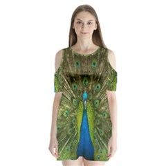 Peacock Feathers Bird Plumage Shoulder Cutout Velvet One Piece by Perong