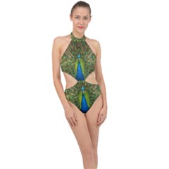 Peacock Feathers Bird Plumage Halter Side Cut Swimsuit by Perong