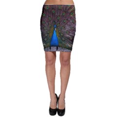 Bird Peacock Feathers Bodycon Skirt by Perong