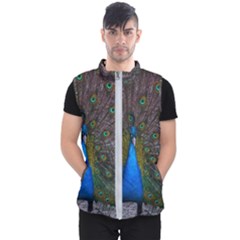 Bird Peacock Feathers Men s Puffer Vest by Perong