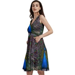 Bird Peacock Feathers Sleeveless V-neck Skater Dress With Pockets by Perong