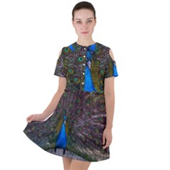 Bird Peacock Feathers Short Sleeve Shoulder Cut Out Dress  by Perong