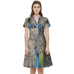 Peacock Bird Animal Peafowl Short Sleeve Waist Detail Dress by Perong