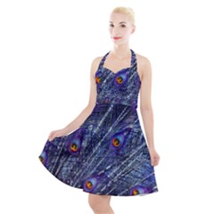 Peacock Bird Feathers Coloured Plumage Halter Party Swing Dress  by Perong