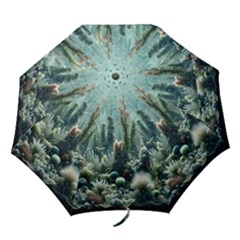 Underwater Coral Life Folding Umbrellas by Apenda