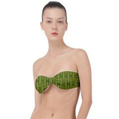 Fern Texture Nature Leaves Classic Bandeau Bikini Top  by Posterlux