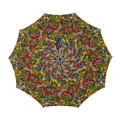 Echinopsis Terscheckii Cactus Motif Random Colored Pattern Automatic Folding Umbrella With Case (large) by dflcprintsclothing