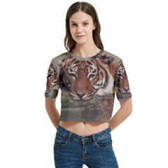 Swimming Tiger Women s Round Neck Short Sleeve Crop Top by ExtraAwesomeSauce