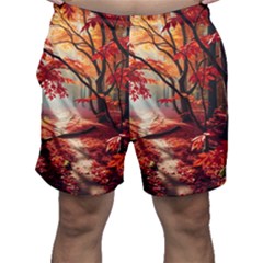 Forest Path Red Nature Men s Shorts by Bedest