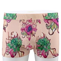 Retro 1880s Flowers Pattern 10 Men s Boxer Briefs by violetheavensky