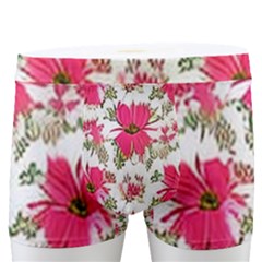 Retro 1880s Flowers Pattern 14 Men s Boxer Briefs by violetheavensky