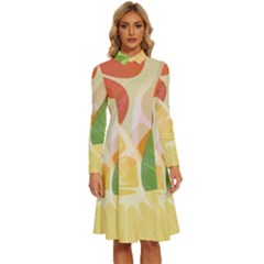 Citrus Fruit Healthy Vitamin Long Sleeve Shirt Collar A-line Dress by Paksenen