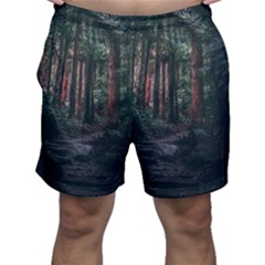 Forest Jungle Trees Tropics Men s Shorts by Bedest