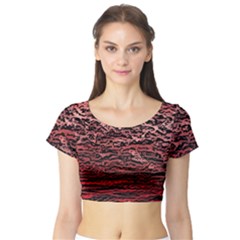 River Roots Short Sleeve Crop Top by RiverRootz