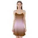 Chocolate Brown To Pink Lace Bilinear Gradient Satin Night Slip View1