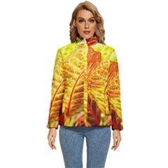 Leaves Plant Pattern Croton Nature Women s Puffer Bubble Jacket Coat by Sabxi