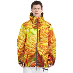 Leaves Plant Pattern Croton Nature Men s Multi Pockets Zip Ski And Snowboard Waterproof Breathable Jacket by Sabxi