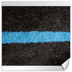 Black Blue Lawn Canvas 16  X 16  (unframed) by hlehnerer