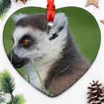 Ring Tailed Lemur  2 Heart Ornament Front