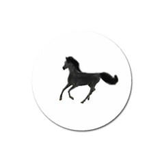 Running Horse Magnet 3  (round) by mysticalimages