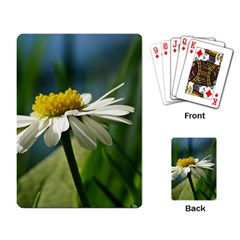 Daisy Playing Cards Single Design by Siebenhuehner