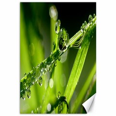 Waterdrops Canvas 12  X 18  (unframed) by Siebenhuehner