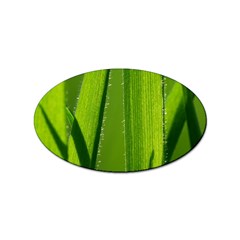 Grass Sticker (oval) by Siebenhuehner