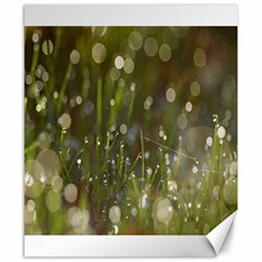 Waterdrops Canvas 20  X 24  (unframed) by Siebenhuehner