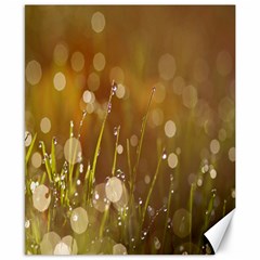 Waterdrops Canvas 8  X 10  (unframed) by Siebenhuehner