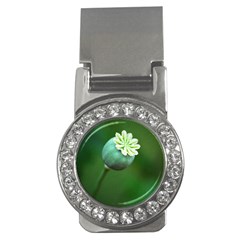 Poppy Capsules Money Clip (cz) by Siebenhuehner