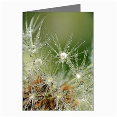 Dandelion Greeting Card (8 Pack) by Siebenhuehner