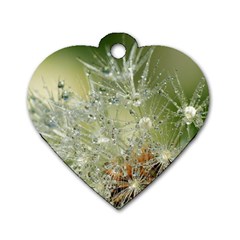 Dandelion Dog Tag Heart (two Sided) by Siebenhuehner