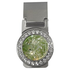 Dandelion Money Clip (cz) by Siebenhuehner