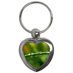 Waterdrops Key Chain (heart) by Siebenhuehner