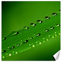 Waterdrops Canvas 20  X 20  (unframed) by Siebenhuehner