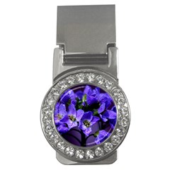 Cuckoo Flower Money Clip (cz) by Siebenhuehner