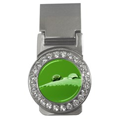 Waterdrops Money Clip (cz) by Siebenhuehner