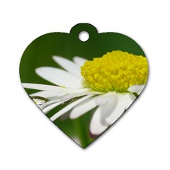 Daisy With Drops Dog Tag Heart (two Sided) by Siebenhuehner