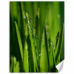 Grass Drops Canvas 12  X 16  (unframed) by Siebenhuehner