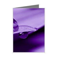 Drops Mini Greeting Card by Siebenhuehner