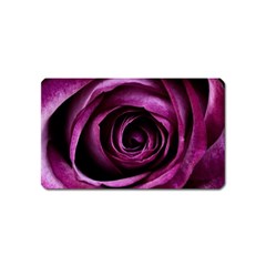 Deep Purple Rose Magnet (name Card) by Colorfulart23