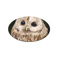 Tawny Owl Sticker 100 Pack (oval) by TonyaButcher